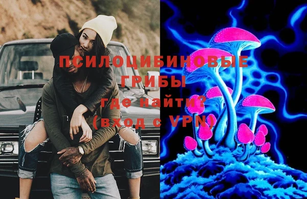 сатива Приозерск