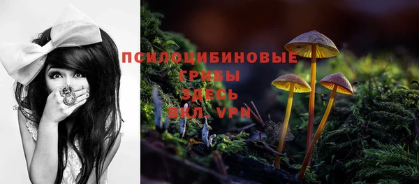 сатива Приозерск