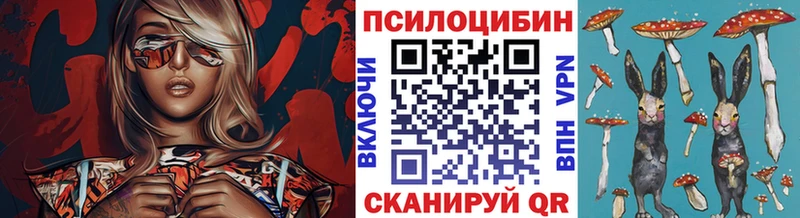 Псилоцибиновые грибы мицелий  как найти закладки  Сурск 
